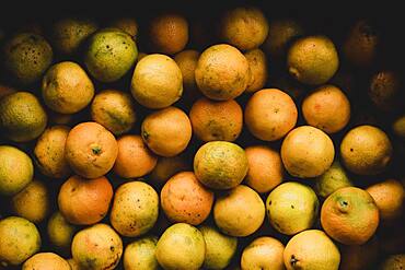 High angle close up of freshly picked oranges.