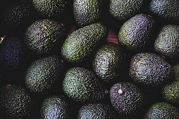 High angle close up of freshly picked avocados.