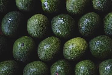 High angle close up of freshly picked avocados.