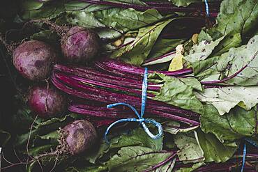 High angle close up of bunches of freshly picked beetroot.