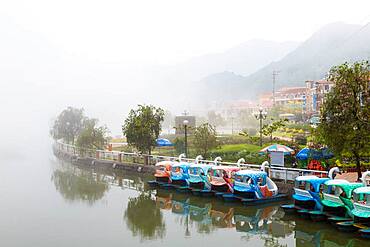 Swan pedalos on Sapa lake, Sapa, North Vietnam