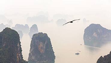 Aerial view over misty Ha Long Bay and tall rock pillars, Ha Long Bay, Vietnam