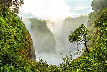 Victoria Falls, the Zambezi river waterfalls viewed from the cliffs of Zimbabwe