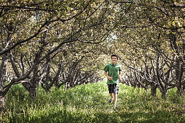 A boy running in a woodland tunnel of overarching tree branches, Utah, USA