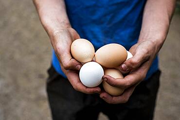 Close up of person holding brown and white eggs.