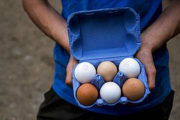 Close up of person holding blue carton of brown and white eggs.