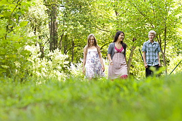 Three people, woman and children walking through woodland, Woodstock, New York, USA