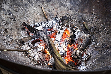 Close up of marshmallow roasted over a fire pit