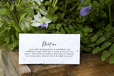 Crate of wild flowers, decorations for a woodland naming ceremony