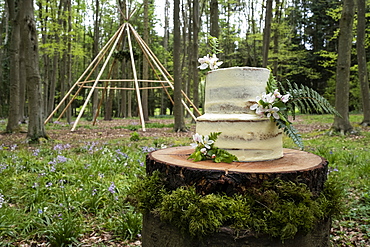 Cake with flower decorations for an outdoor ceremony