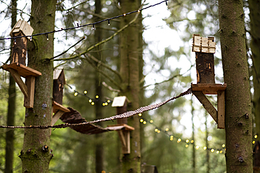 Wooden bird houses and fairy lights in a tree, decorations for a woodland ceremony