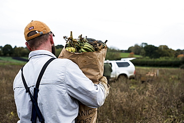 Farmer walking in a field, carrying paper bag with freshly picked gourds.