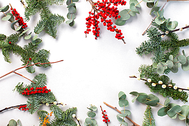 Green foliage, eucalyptus and red berries on white background, Christmas decorations.