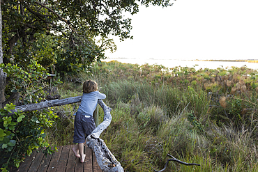 A young boy on a walkway looking out from a camp tent in the Okavango Delta