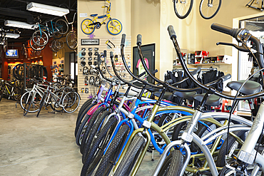 Cycle repair shop interior, rows of bicycles.