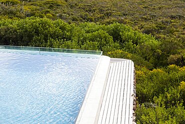 Aerial view of a swimming pool with a paved edge and plants in a garden, Stanford, Western Cape, South Africa