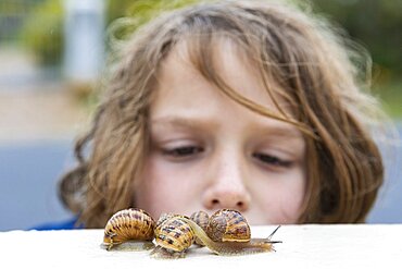 Young boy looking closely at snails on a wall, De Kelders, Western Cape, South Africa