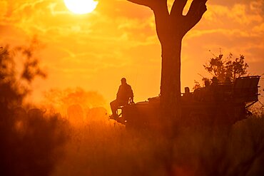 A vehicle goes on a game drive at sunset, silhouetted, Londolozi Wildlife Reserve, Sabi Sands, Greater Kruger National Park, South Africa