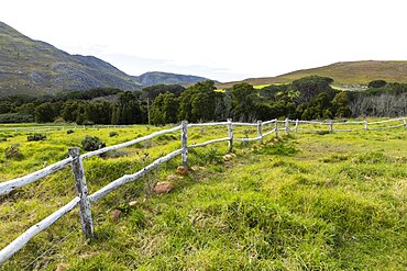 Post and rail fence around a field at a farm, Stanford, Western Cape, South Africa