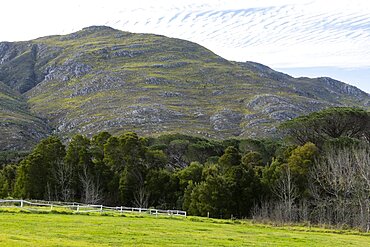 Landscape in a flat plain and view to the Klein mountains, Stanford, Western Cape, South Africa