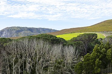 Landscape in a flat plain and view to the Klein mountains, Stanford, Western Cape, South Africa