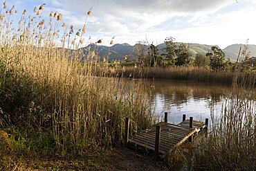 A wooden jetty on a river bank, tall reeds and grasses, Stanford Walking Trail, Western Cape, South Africa