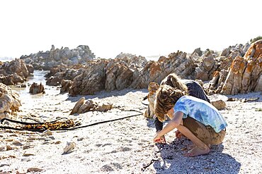 Two people, boy and girl collecting shells on a beach, Pearly Beach, Gansbaai, Western Cape, South Africa