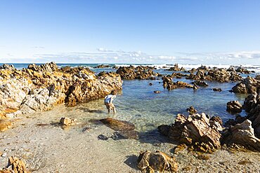 Young boy exploring a beach and rockpools on a jagged rocky coastline, Pearly Beach, Gansbaai, Western Cape, South Africa