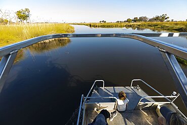 A boy on a motorboat travelling along a waterway in the Okavango delta, Okavango Delta, Botswana