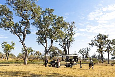 A safari vehicle stationary in grassland, and people standing around it, Okavango Delta, Botswana