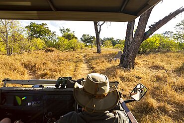 A safari guide in a bush hat at the wheel of a jeep, an elephant in the distance, Okavango Delta, Botswana