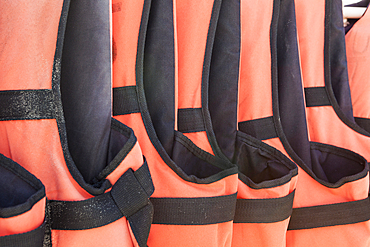 Close-up of orange life jackets in a row