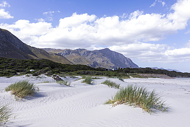 Grotto Beach, Hermanus, Western Cape, South Africa.