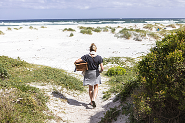 Adult woman carrying picnic basket on Grotto Beach, Hermanus, Western Cape, South Africa.