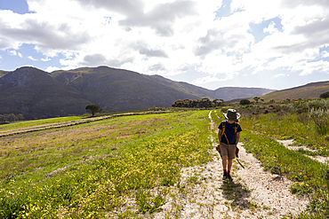 Young boy walking, Stanford Valley Guest Farm, Stanford, Western Cape, South Africa.