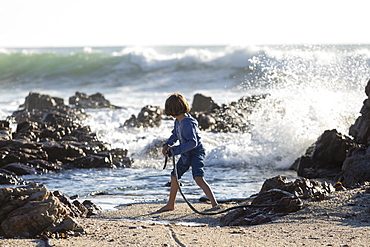 Boy playing on a rocky beach, holding a long kelp seaweed strand, Western Cape, South Africa