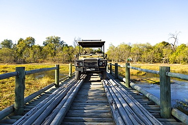 A boy walking across a wooden bridge over marshland, Botswana