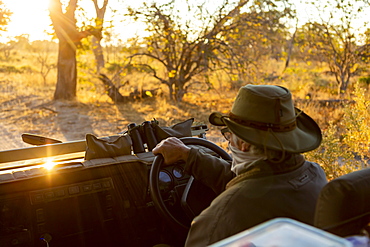 A driver driving a jeep through a nature reserve, Okavango Delta, Botswana