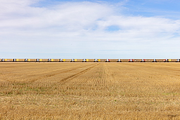 View across a stubble field and the long line of yellow boxcar wagons of a freight train on the horizon line.