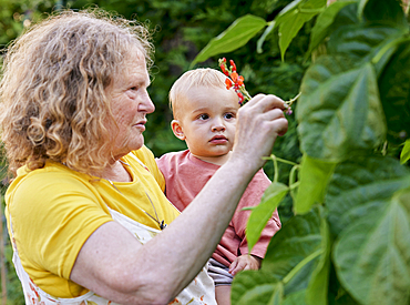 Grandmother looking at flower with toddler in garden