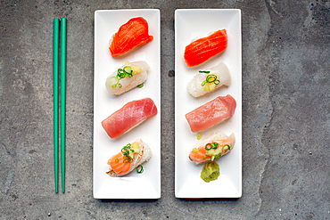 A sushi platter with fresh fish and rice arranged carefully on the dish with garnishes.