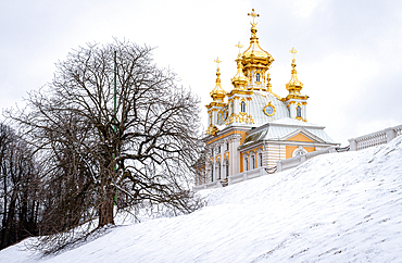 Peterhof palace, The gilded domes of the court church of the Holy Apostles Peter and Paul, built by order of Empress Elizabeth Petrovna in 1751, snow on the ground.