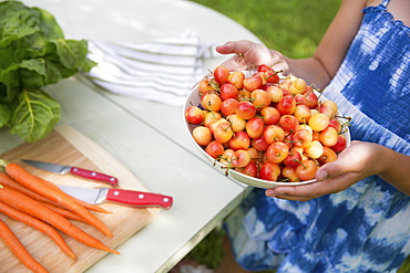 A summer family gathering at a farm. A child carrying a bowl of fresh picked cherries to a buffet table. 