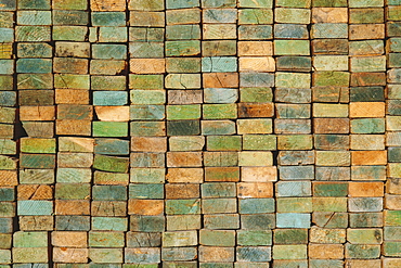 A stack of wood stud boards known as 2 x 4s. Used for construction and scaffolding, Washington State, USA