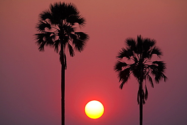 Sunset, Botswana, Botswana