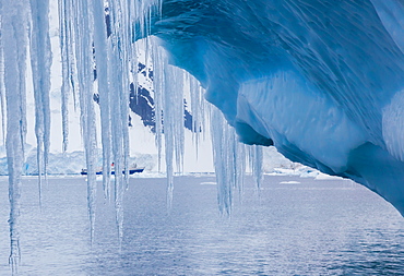 Icicles hanging from an iceberg, Antarctica