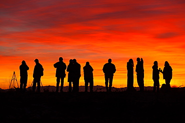 Photographers at sunset, Skagit Flats, Washington, Skagit Flats, Washington, USA