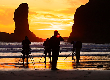 Photographers at sunset, Second Beach, Olympic National Park, Washington, USA, Olympic National Park, Washington, USA