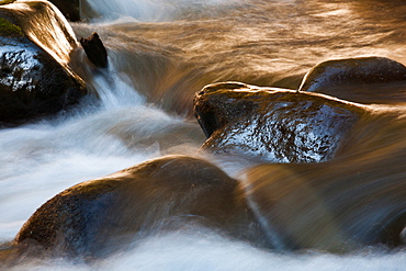 Barnes Creek, Olympic National Park, Washington, USA, Barnes Creek, Olympic National Park, Washington, USA