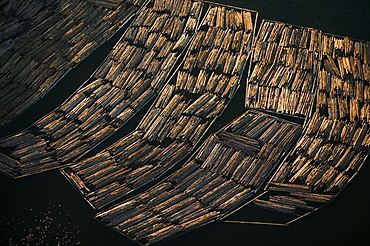 Logs awaiting export, Skagit County, Washington, Skagit County, Washington, USA